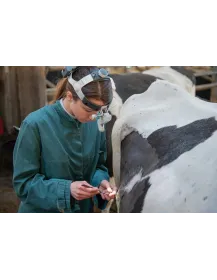 Kopfleuchte für Veterinär HEINE ML4 LED mit Kopfbandakku und Tragetasche