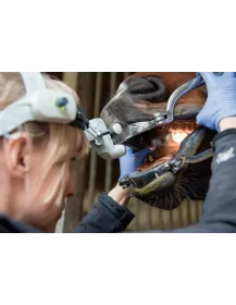 Lampe Frontale HEINE ML4 LED avec mPack UNPLUGGED