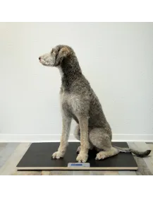 Tierwaage aus Holz ADE MV304600