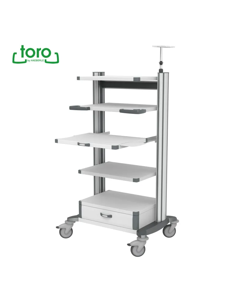HAEBERLE toro Chariot d'endoscopie 63 pour charge totale 250 kg HAEBERLE toro Chariot d'endoscopie 63 pour charge totale 250 kg