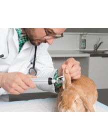 HEINE BETA 200 LED VET Veterinär-Otoskop