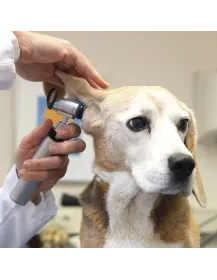 HEINE Veterinär Diagnostik Set