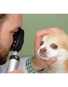 HEINE Veterinär Diagnostik Set