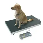 Balances vétérinaires et balances pour animaux à usage professionnel.